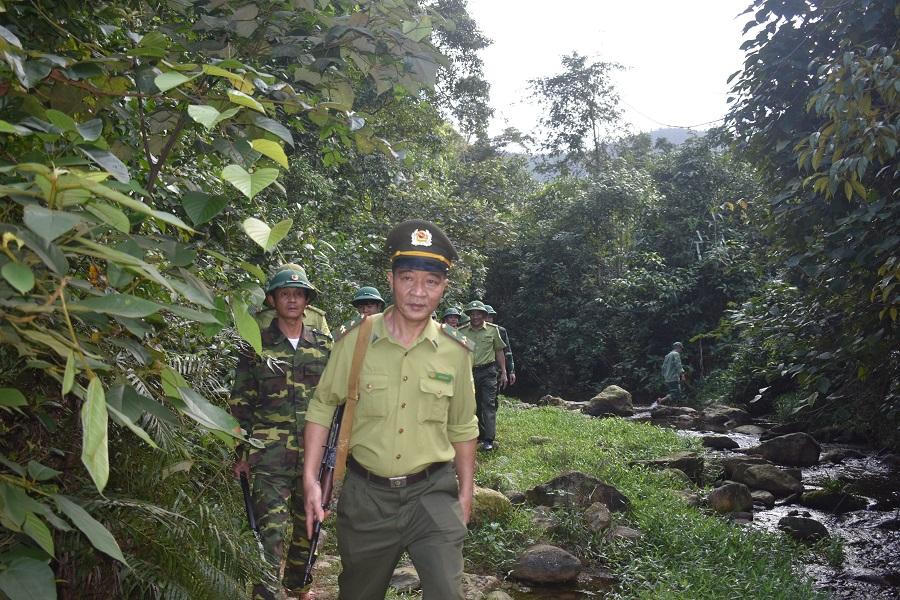 Quảng Bình tiếp tục quan tâm công tác trồng và bảo vệ rừng