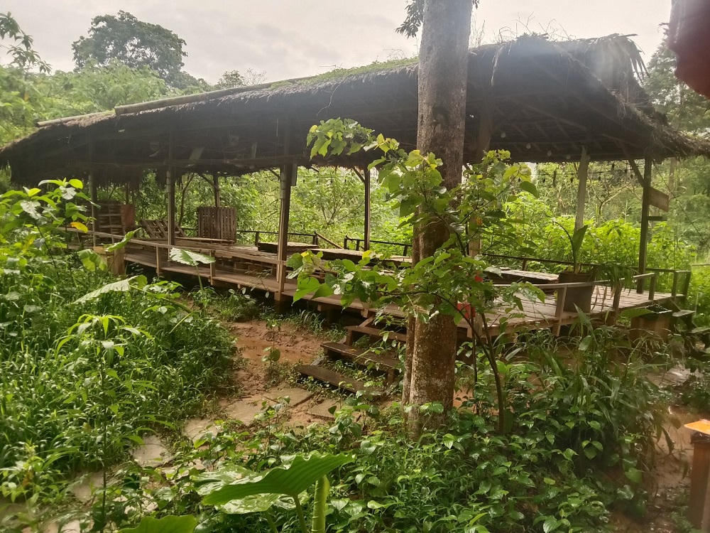 Bố Trạch, Quảng Bình: Buộc khôi phục hiện trạng hàng chục ngàn m2 rừng phòng hộ