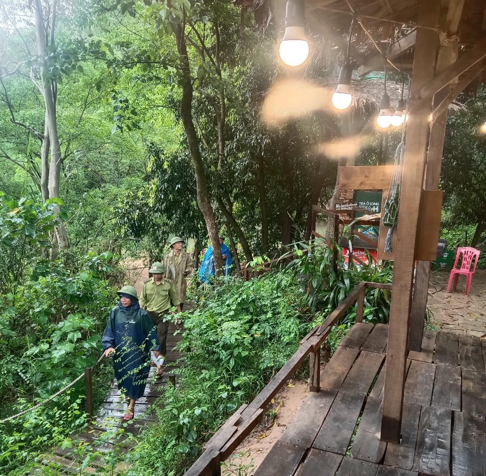 Bố Trạch, Quảng Bình: Buộc khôi phục hiện trạng hàng chục ngàn m2 rừng phòng hộ