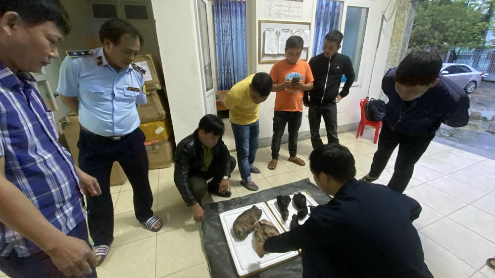 Phát hiện xe khách vận chuyển cá thể nghi là hổ con cùng nhiều hàng lậu 