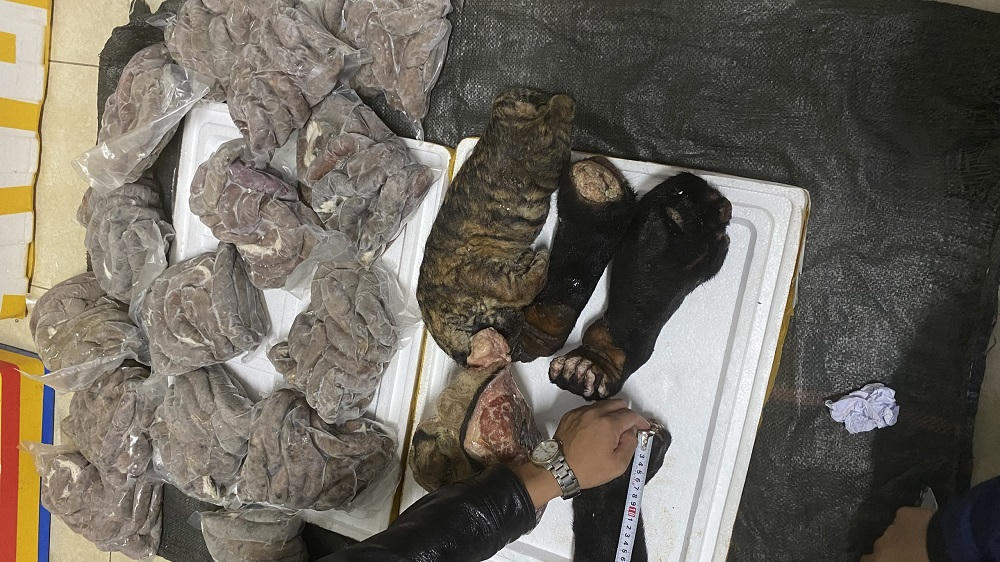 Phát hiện xe khách vận chuyển cá thể nghi là hổ con cùng nhiều hàng lậu 