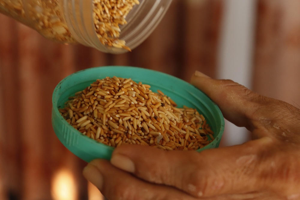 Độc đáo tranh hạt gạo của người đàn ông khuyết tật