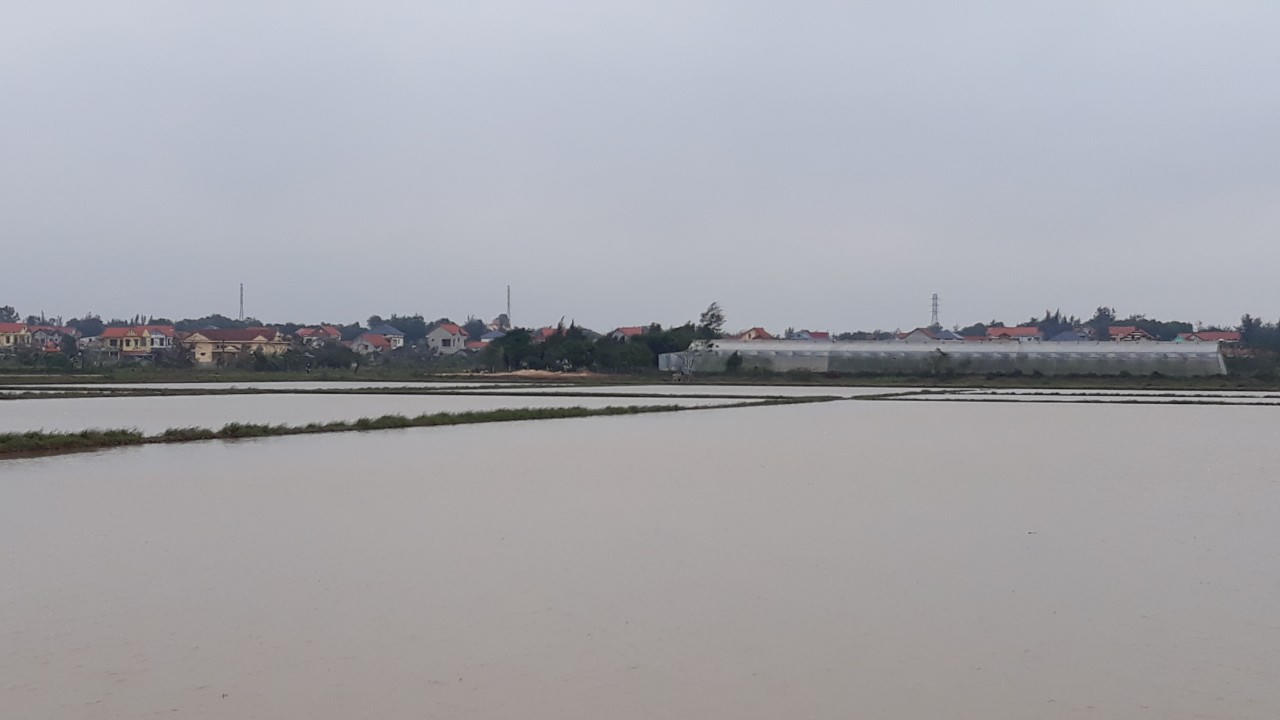 Võ Ninh "thay da, đổi thịt" nhờ xây dựng nông thôn mới