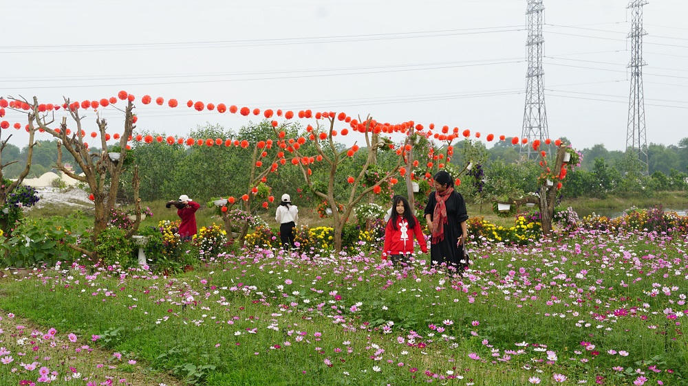 Thời tiết thuận lợi các điểm du lịch ở Quảng Bình hút khách dịp Tết