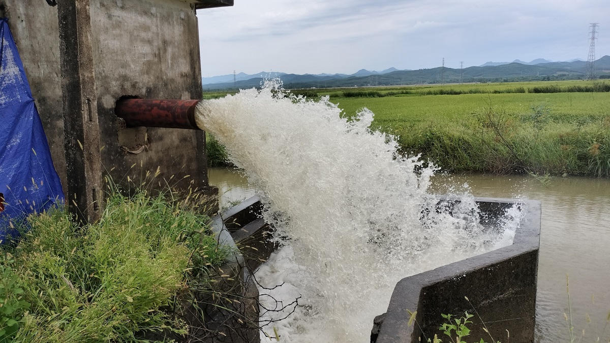 Mưa gió bất thường làm gãy đổ gần 6.000 ha lúa chín ở Quảng Bình