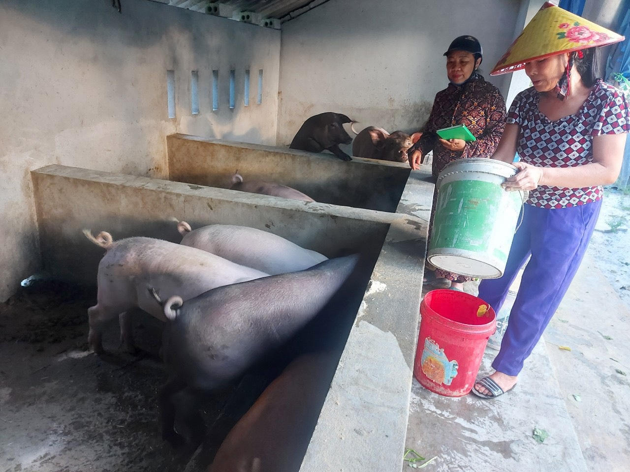 Cầu nối đưa vốn tín dụng chính sách đến với người nghèo Quảng Bình