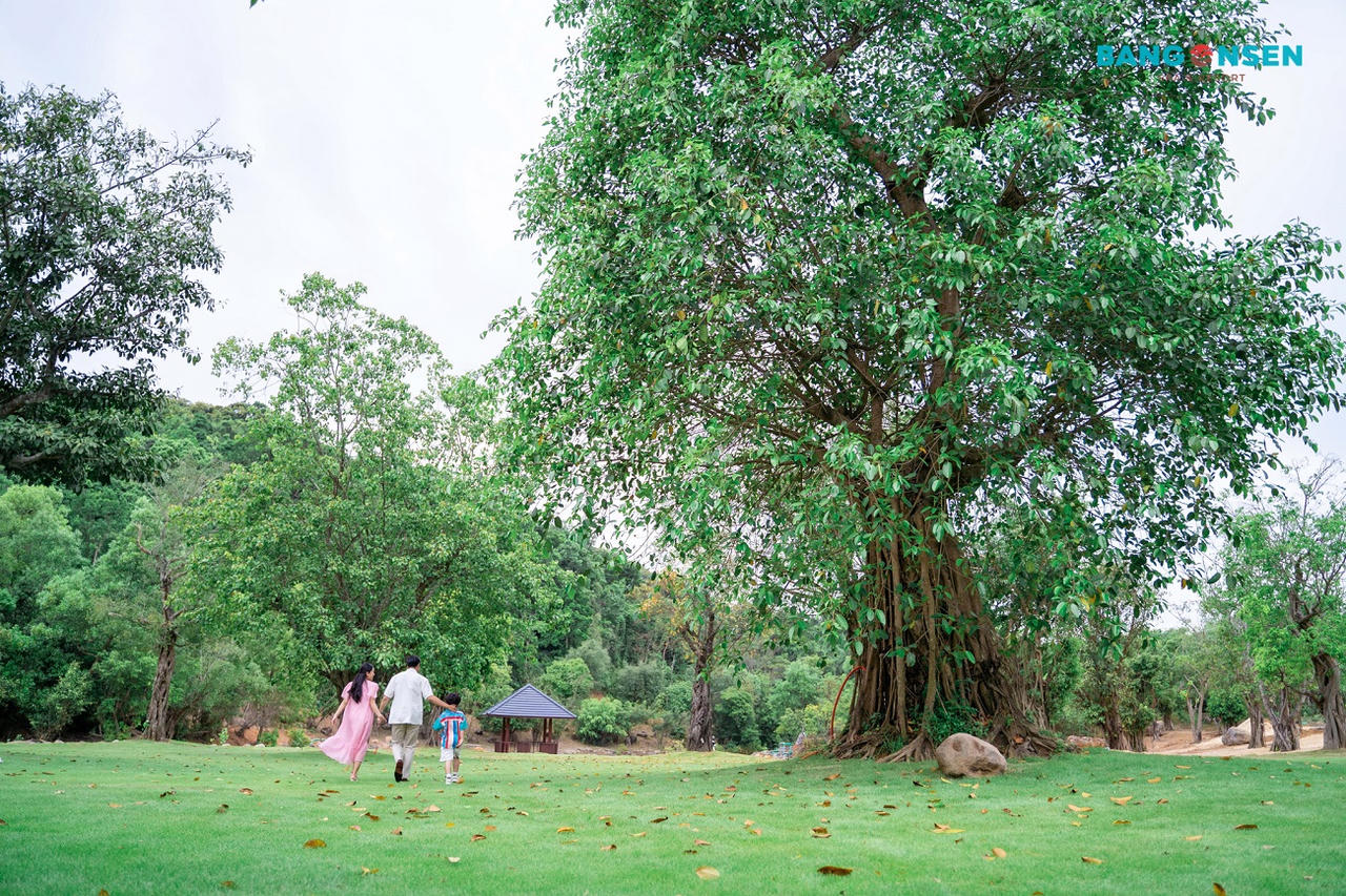 'Thiên đường nghỉ dưỡng' giữa đại ngàn Trường Sơn Quảng Bình