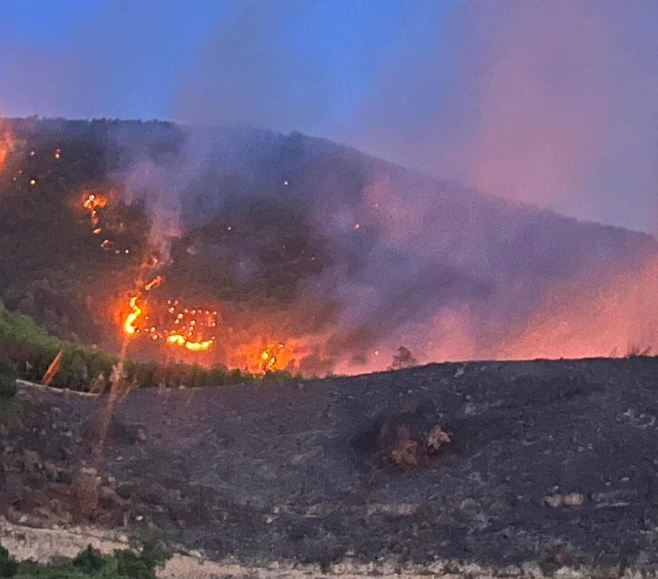 Huy động hàng trăm người nỗ lực dập tắt cháy rừng keo ở Quảng Bình
