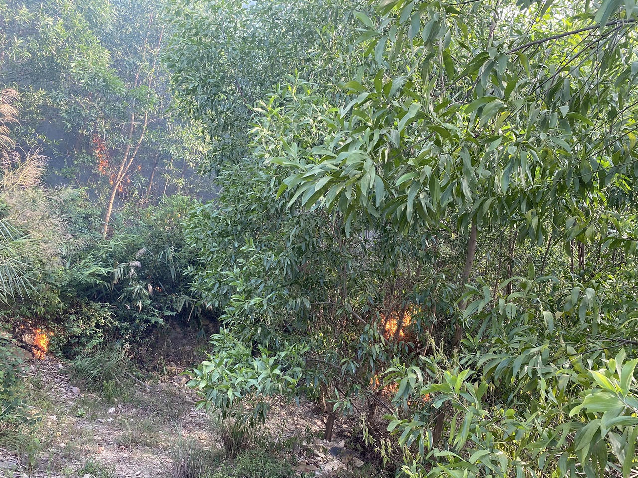 Huy động hàng trăm người nỗ lực dập tắt cháy rừng keo ở Quảng Bình
