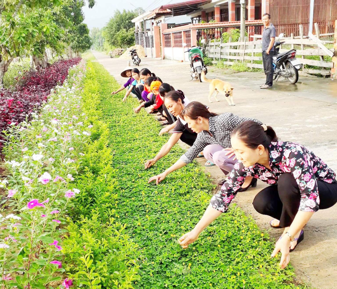 Quảng Bình: Tập trung hoàn thành các mục tiêu xây dựng NTM theo đúng lộ trình