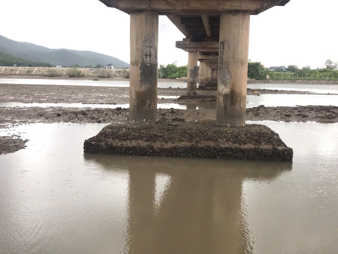 Cấm tất cả các loại xe cơ giới 4 bánh trở lên qua cầu Sông Thai