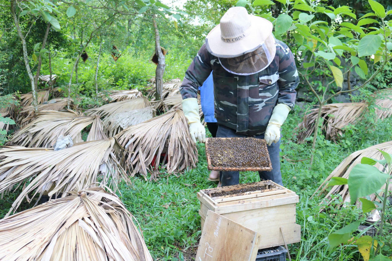 Khuyến nông Quảng Bình hỗ trợ sinh kế cho người dân vùng khó