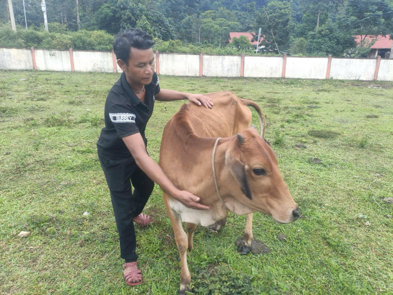 Khuyến nông Quảng Bình hỗ trợ sinh kế cho người dân vùng khó