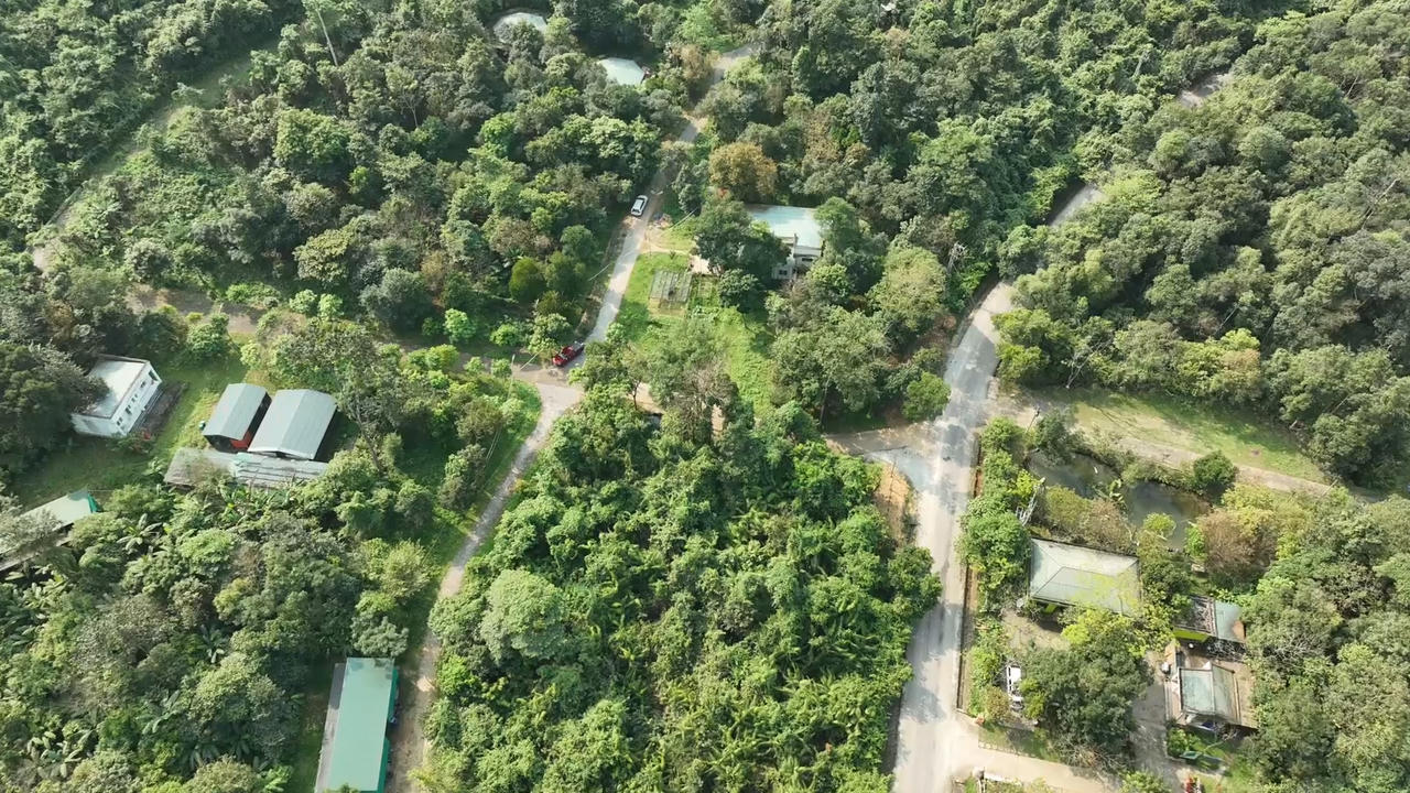 Thêm không gian sống cho 7 cá thể hổ Đông Dương ở Quảng Bình