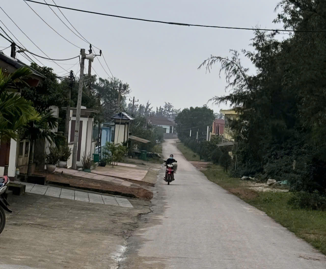 Vùng ven biển bãi ngang khởi sắc nhờ nguồn vốn giảm nghèo