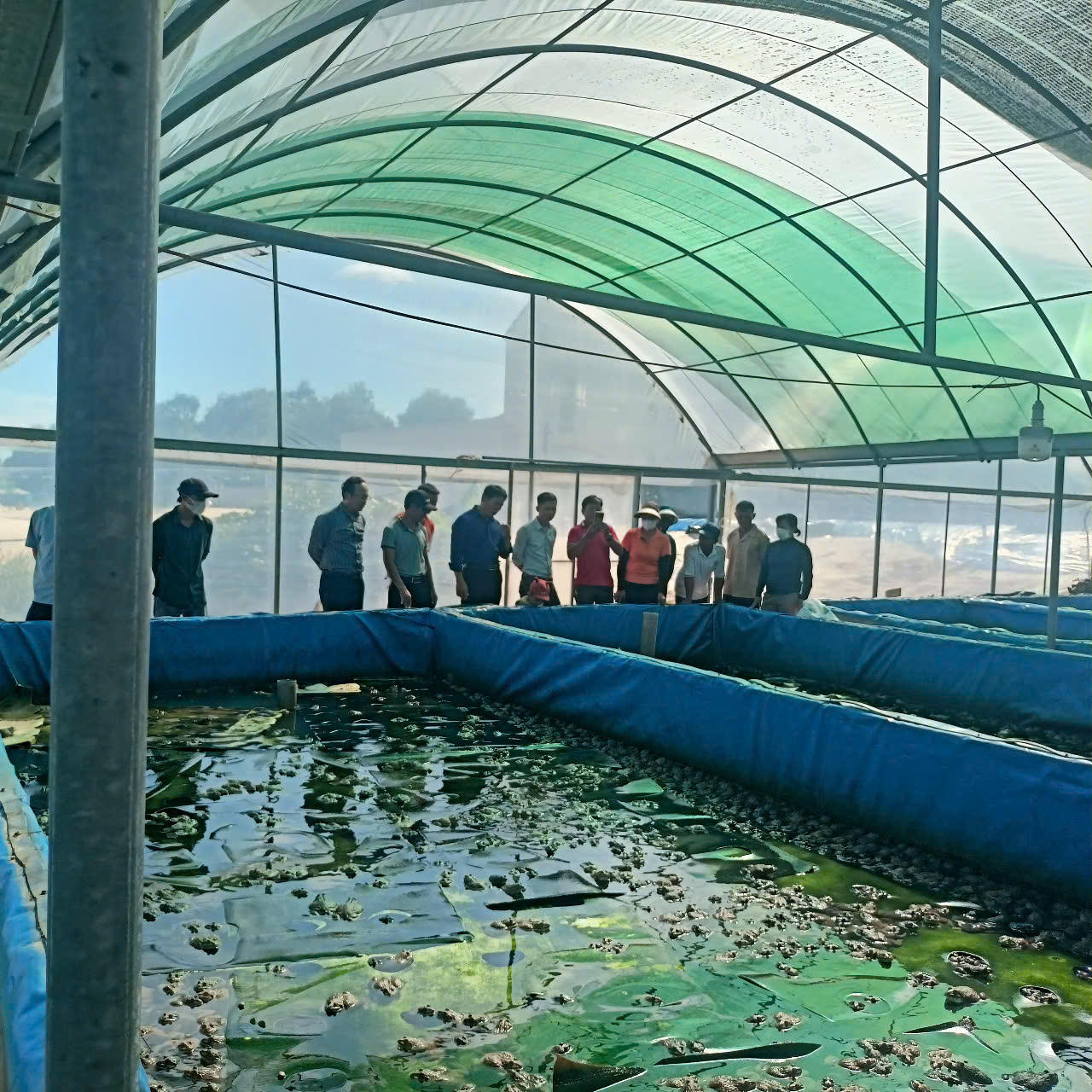 Vùng ven biển bãi ngang khởi sắc nhờ nguồn vốn giảm nghèo