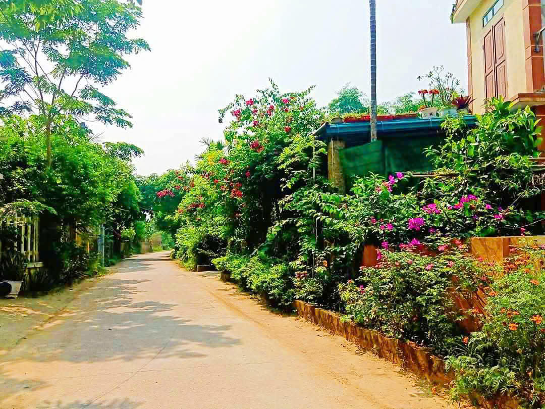 Vùng ven biển bãi ngang khởi sắc nhờ nguồn vốn giảm nghèo