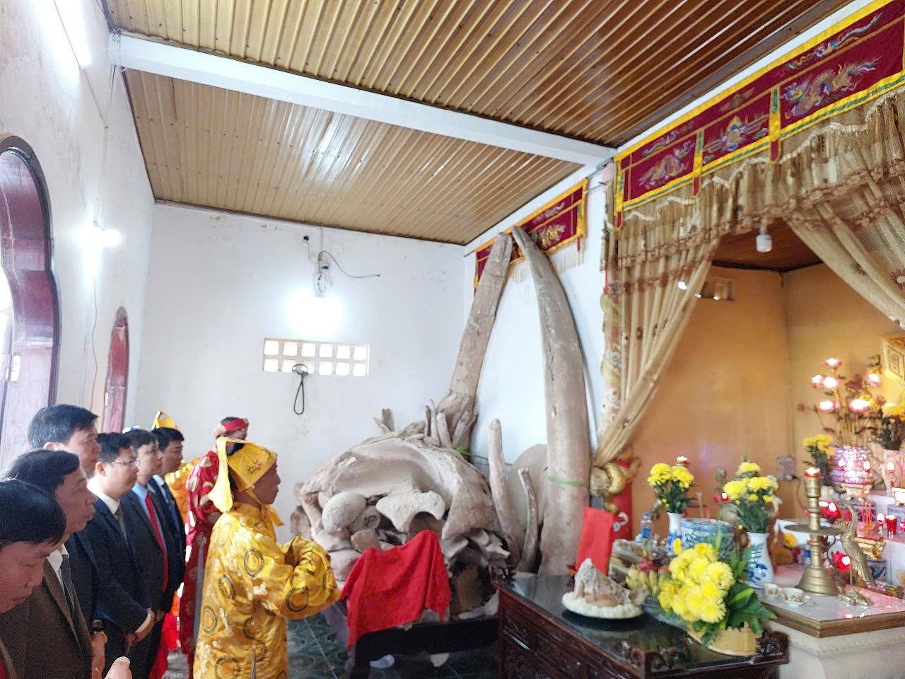 Về làng biển gần 400 năm tuổi xem lễ hội Cầu ngư 