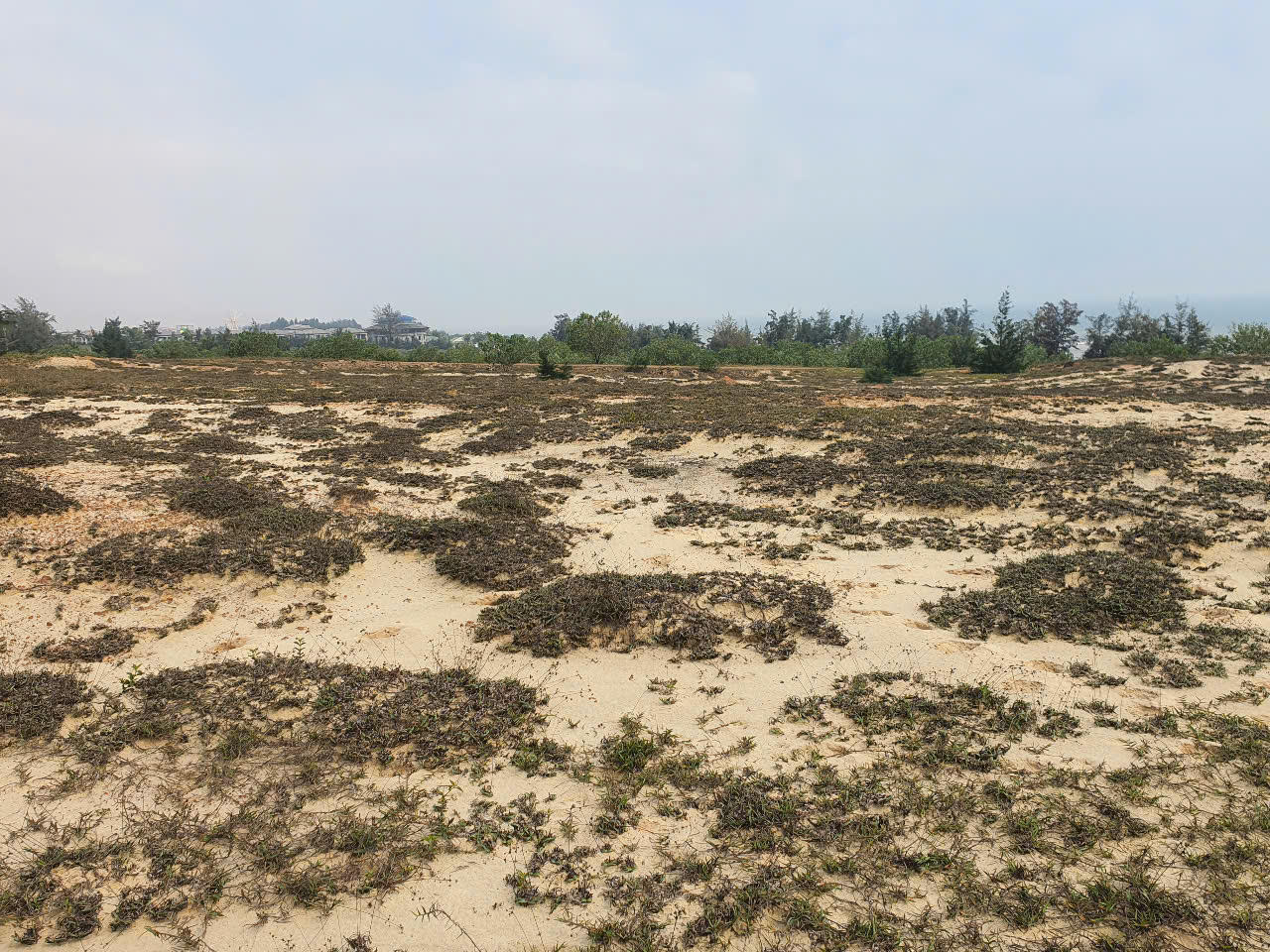 Thu hồi đất dự án Indochina Quảng Bình Resort do nợ thuế hơn 23 tỷ đồng