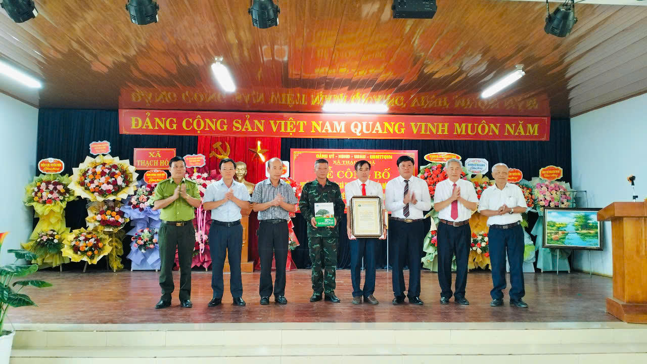 Ngắm cây gạo di sản đầu tiên ở Quảng Bình khoe sắc mỗi độ tháng ba về