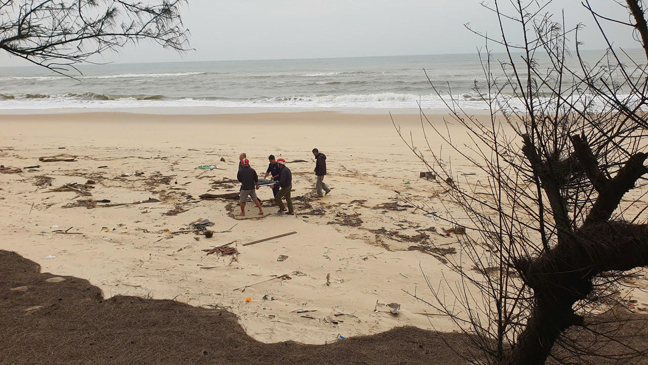 Liên tiếp phát hiện xác cá voi trôi dạt vào bờ biển Quảng Bình