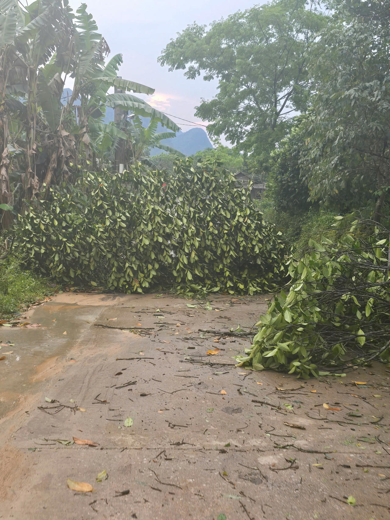 Mưa đá, lốc xoáy tốc mái 12 ngôi nhà ở Quảng Bình