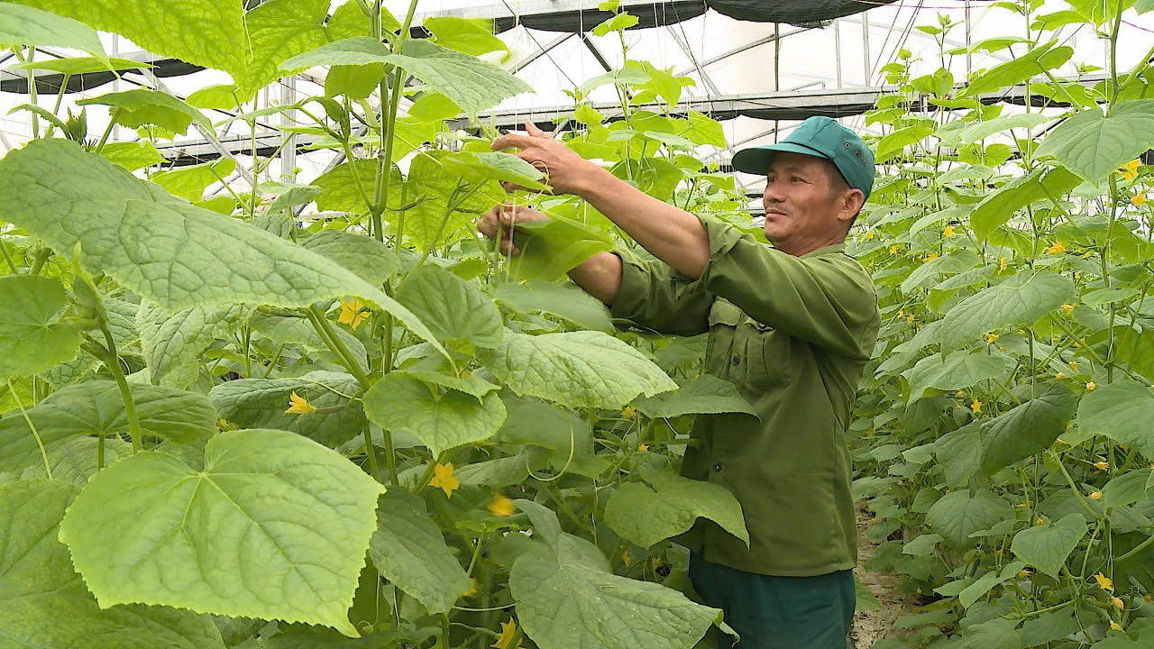 ‘Mốc son’ của thị xã Ba Đồn sau hơn 10 năm xây dựng Nông thôn mới