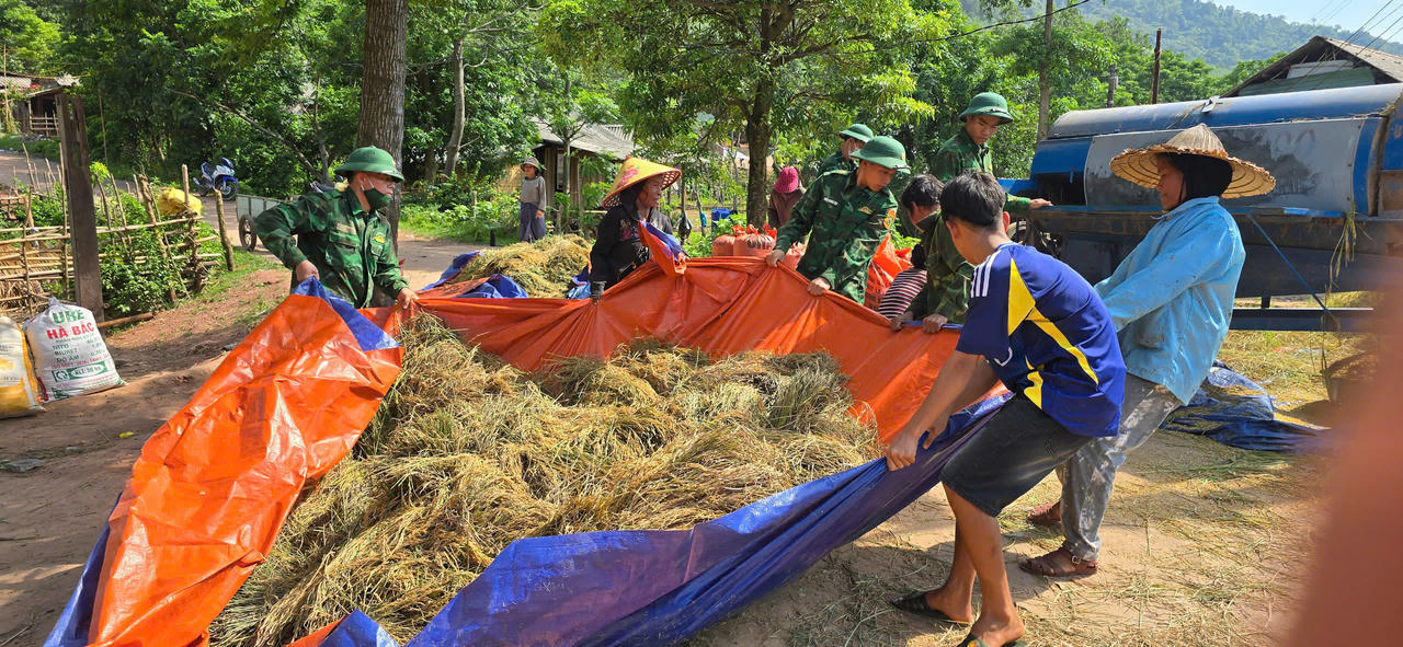 Xem Biên phòng giúp dân thu hoạch lúa ở vùng biên Quảng Bình