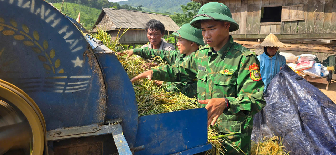 Xem Biên phòng giúp dân thu hoạch lúa ở vùng biên Quảng Bình