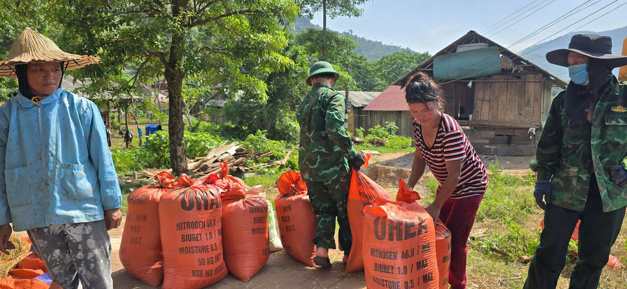 Xem Biên phòng giúp dân thu hoạch lúa ở vùng biên Quảng Bình