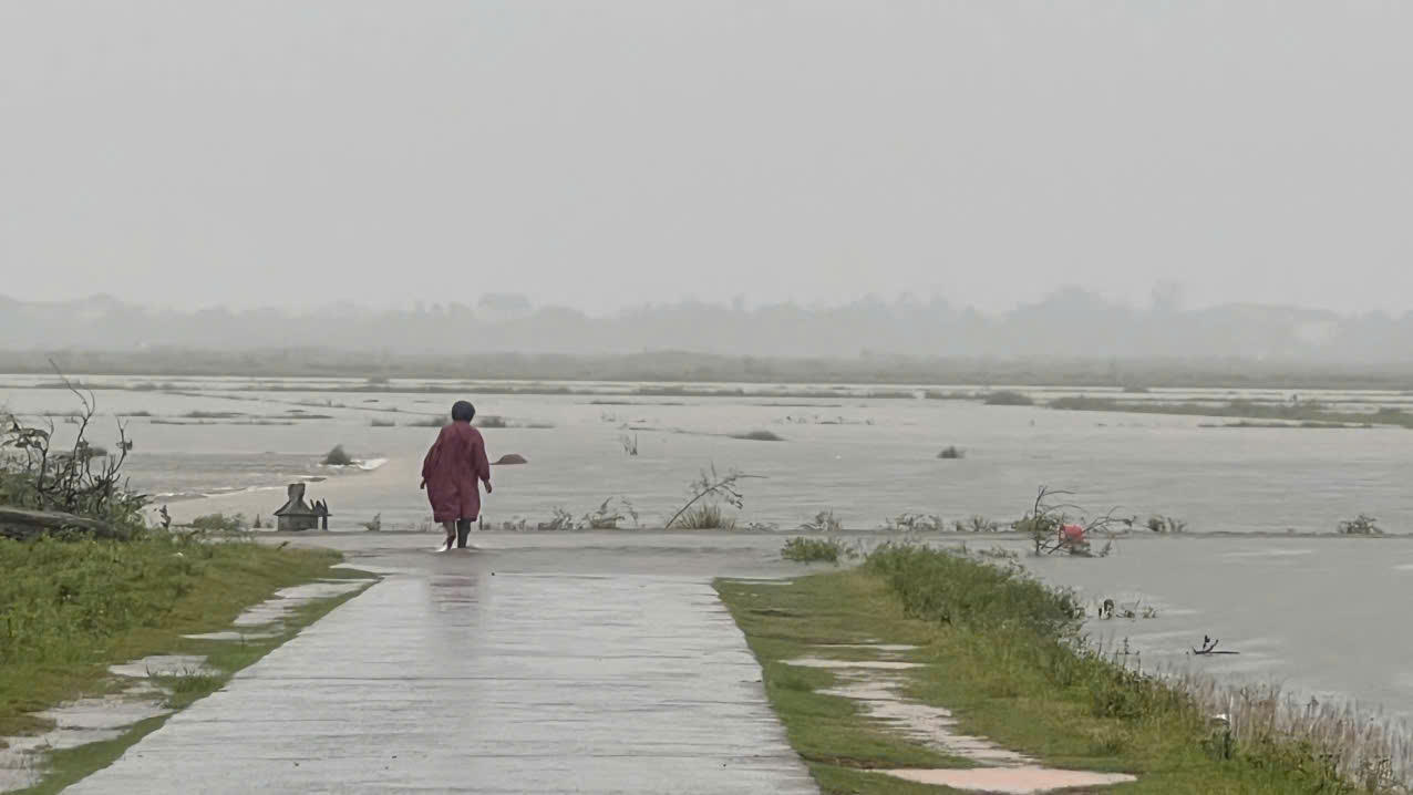 Mưa lũ bất thường gây thiệt hại nặng nề cho sản xuất nông nghiệp của tỉnh Quảng Bình