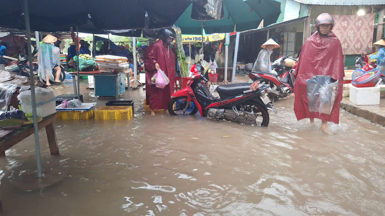 Mưa trắng trời, nhiều cánh đồng lúa ở Quảng Bình mênh mông biển nước