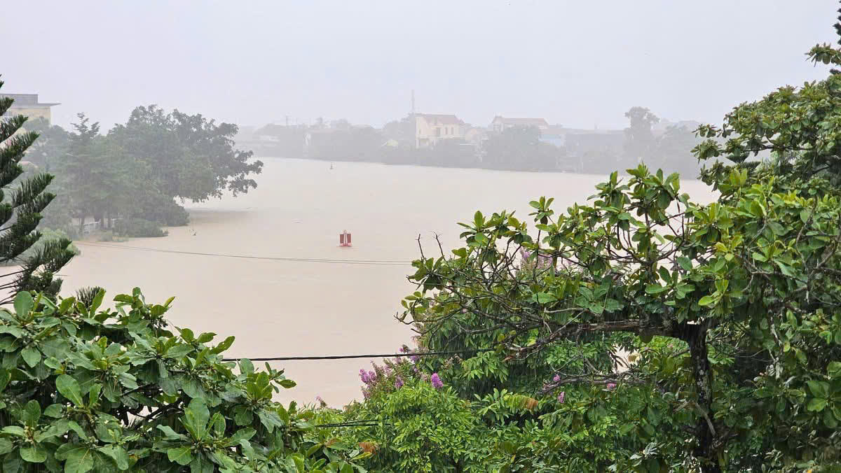 Mưa trắng trời, nhiều cánh đồng lúa ở Quảng Bình mênh mông biển nước