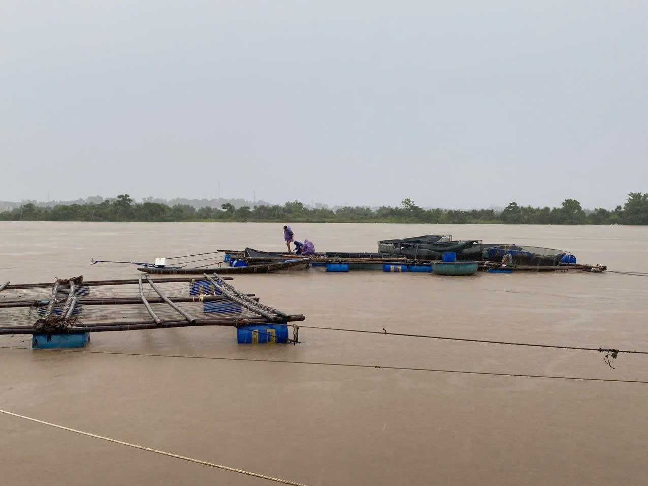 Mưa trắng trời, nhiều cánh đồng lúa ở Quảng Bình mênh mông biển nước