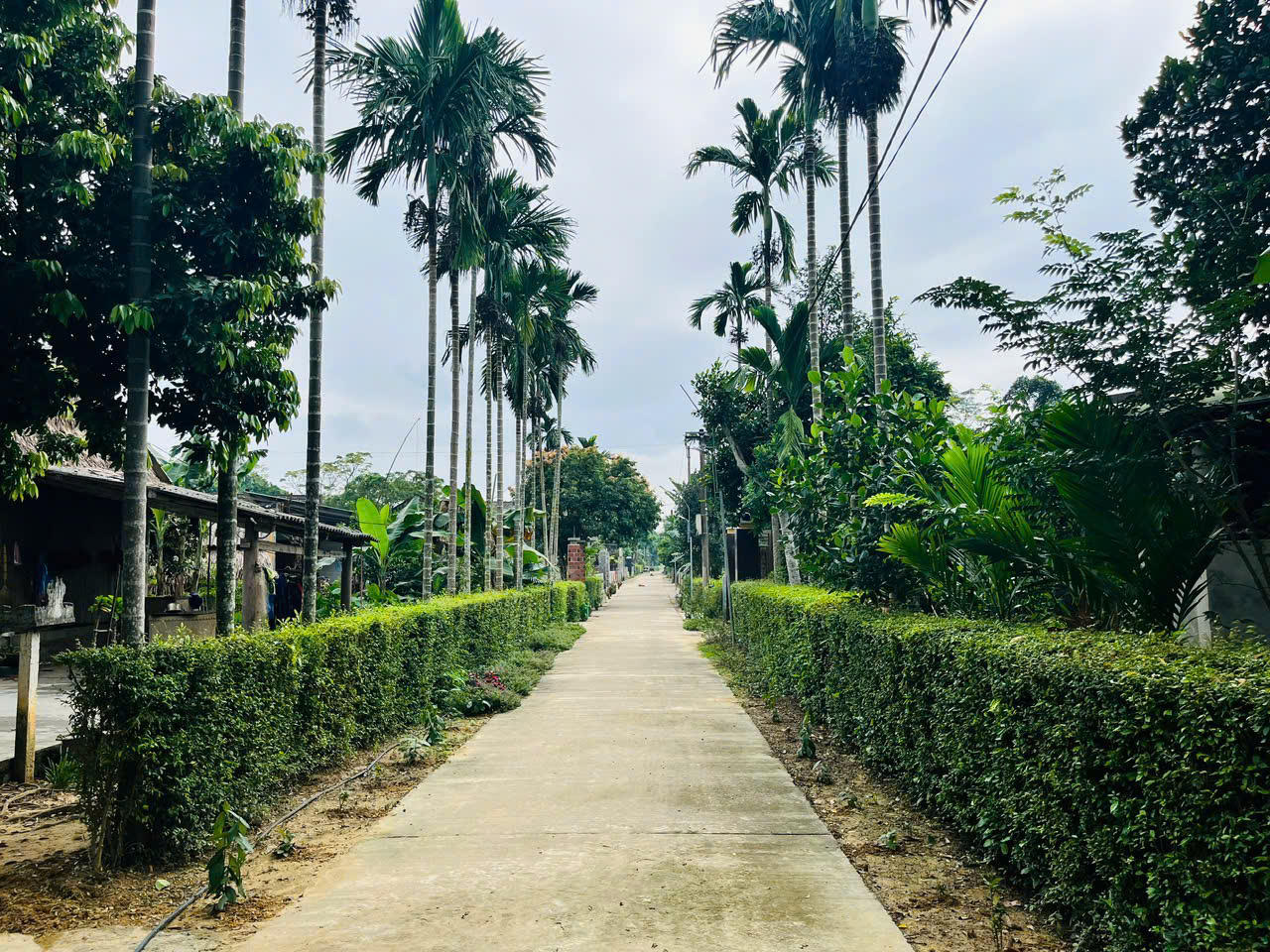 Quảng Bình đạt nhiều kết quả nổi bật trong xây dựng Nông thôn mới