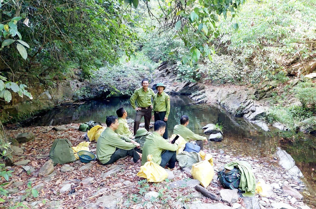 Kích hoạt ‘4 tại chỗ’ bảo vệ rừng phòng hộ Đồng Hới và ven biển Quảng Bình