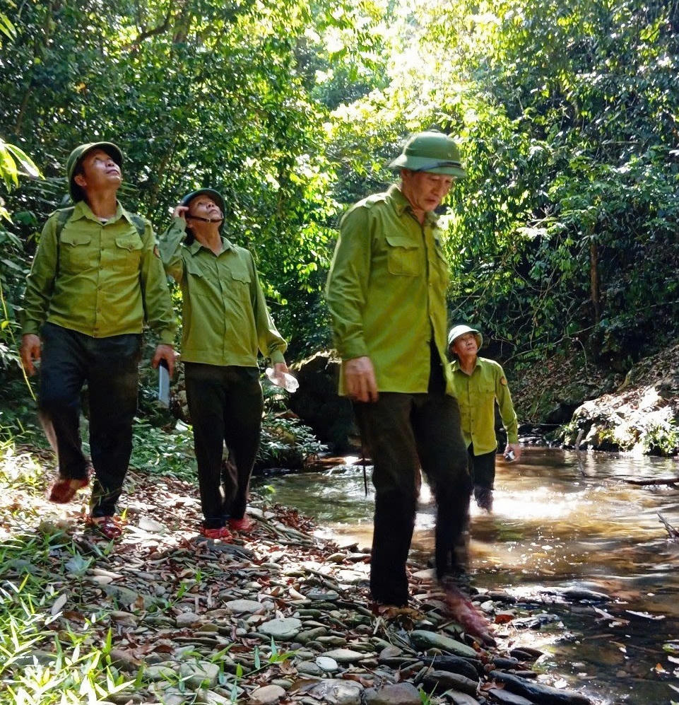 Kích hoạt ‘4 tại chỗ’ bảo vệ rừng phòng hộ Đồng Hới và ven biển Quảng Bình