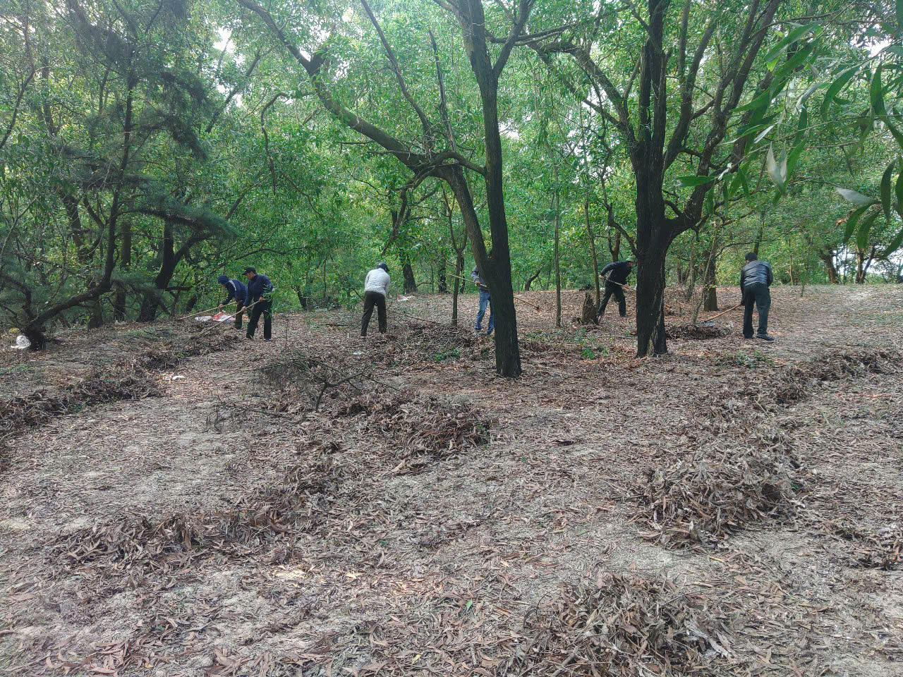 Kích hoạt ‘4 tại chỗ’ bảo vệ rừng phòng hộ Đồng Hới và ven biển Quảng Bình