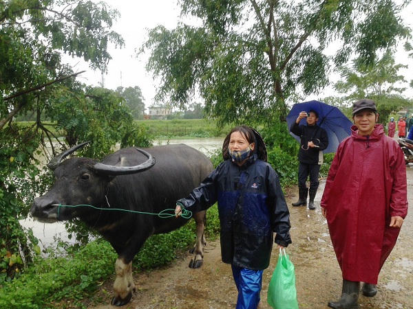 Diễn tập phòng, chống thiên tai ở Quảng Trị