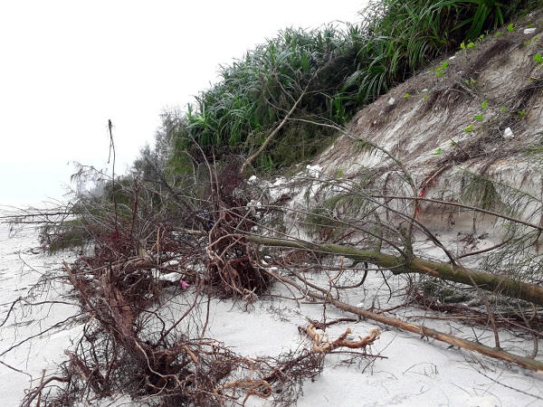 Sóng đánh tan đê, xã ven biển phập phồng nỗi lo biển xâm thực