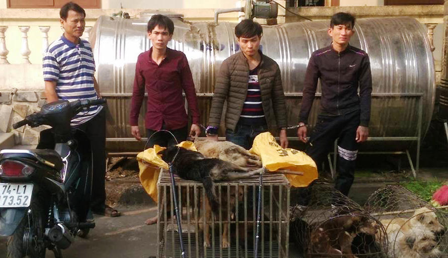 Bắt nhóm “cẩu tặc” khi đang mang hàng đi bán