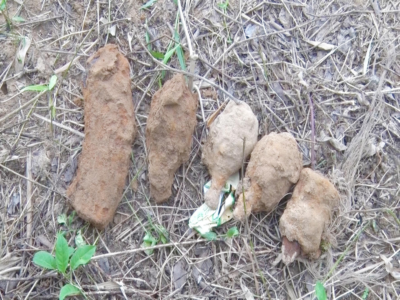 Tìm thấy 3 hài cốt liệt sỹ cùng nhiều di vật ở thị xã Quảng Trị 