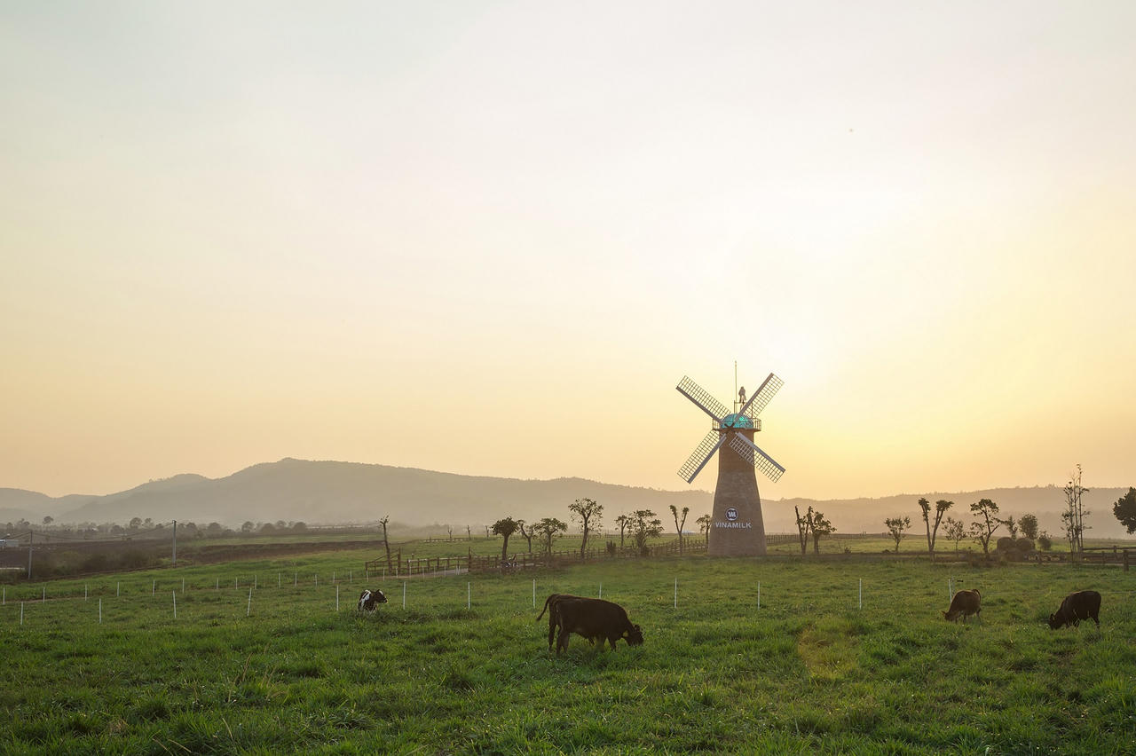 Xuân Bắc “rủ rê” gia đình bạn cùng khám phá trang trại Vinamilk Organic Đà Lạt