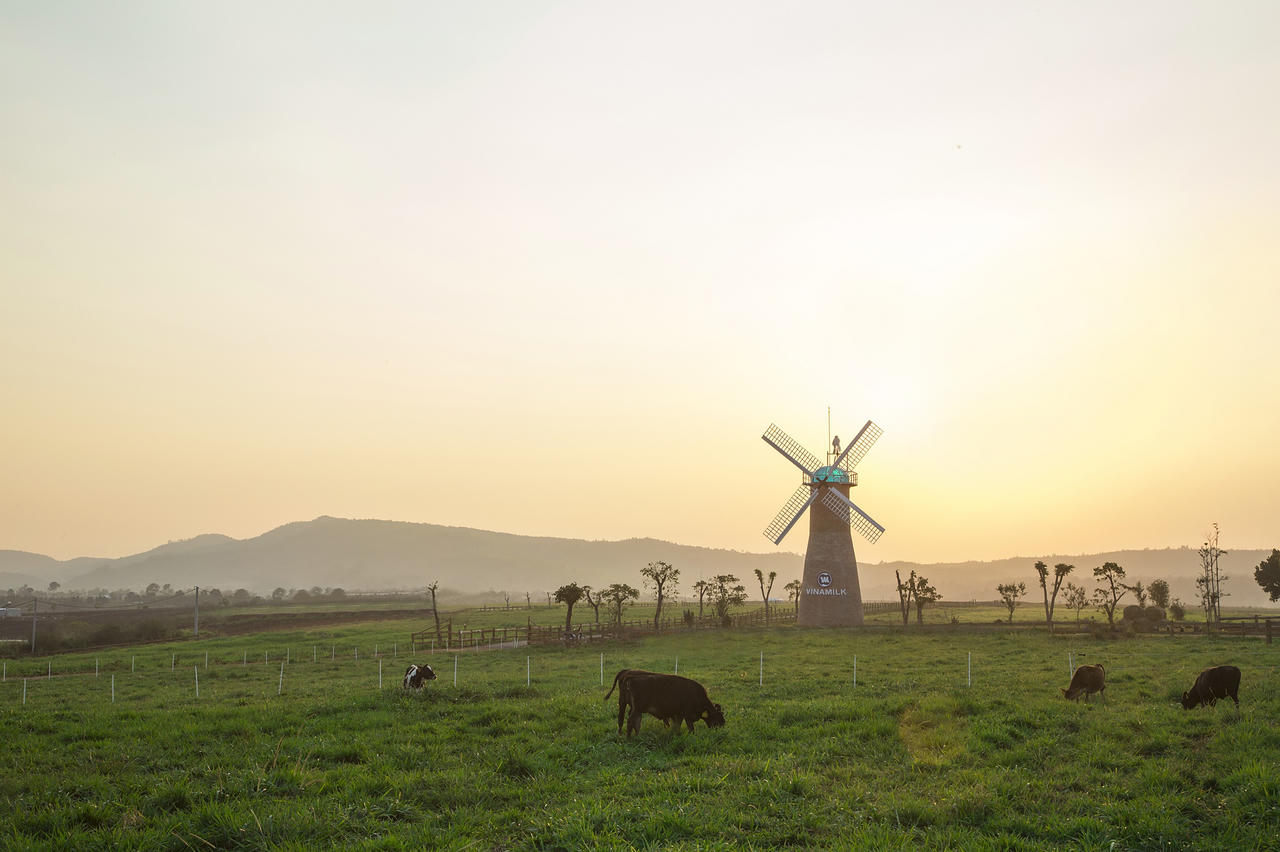 Vinamilk đánh dấu Việt Nam trên bản đồ Organic thế giới