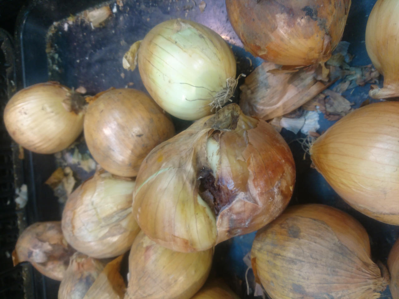 Big C Vĩnh Phúc bán hàng kém chất lượng? 