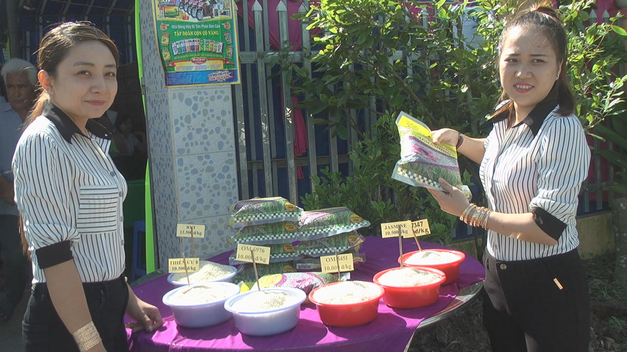 Giám đốc tài năng của nông dân Thượng tôn pháp luật