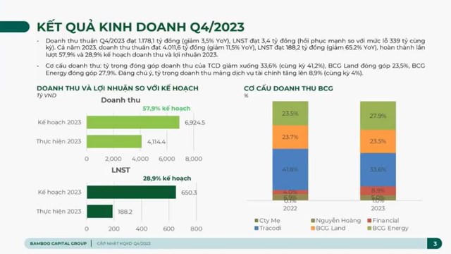Bamboo Capital (BCG) ước đạt 1.000 tỷ đồng doanh thu trong quý I/2024 