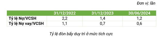 Bamboo Capital (BCG): lợi nhuận sau thuế quý 2/2024 đạt 318,6 tỷ đồng, tăng trưởng đến 98,2%