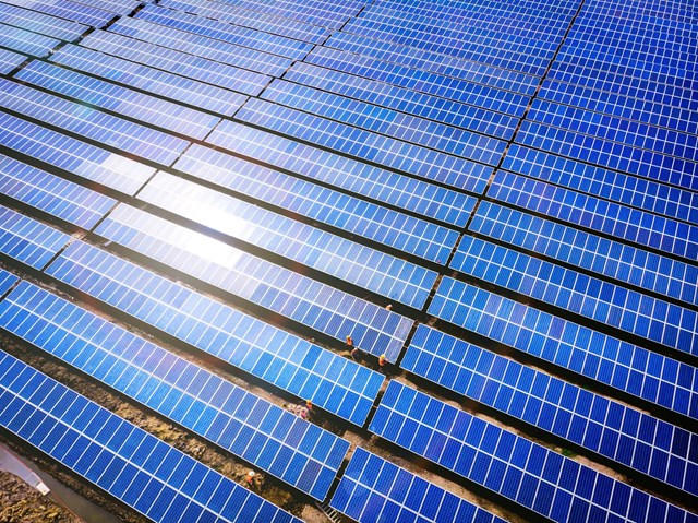 Bamboo Capital (BCG): Lợi nhuận 9 tháng đầu năm đạt 748 tỷ đồng, tăng gấp 4 lần, chi phí tài chính giảm mạnh