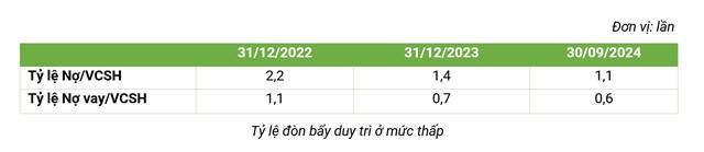 Bamboo Capital (BCG): Lợi nhuận 9 tháng đầu năm đạt 748 tỷ đồng, tăng gấp 4 lần, chi phí tài chính giảm mạnh